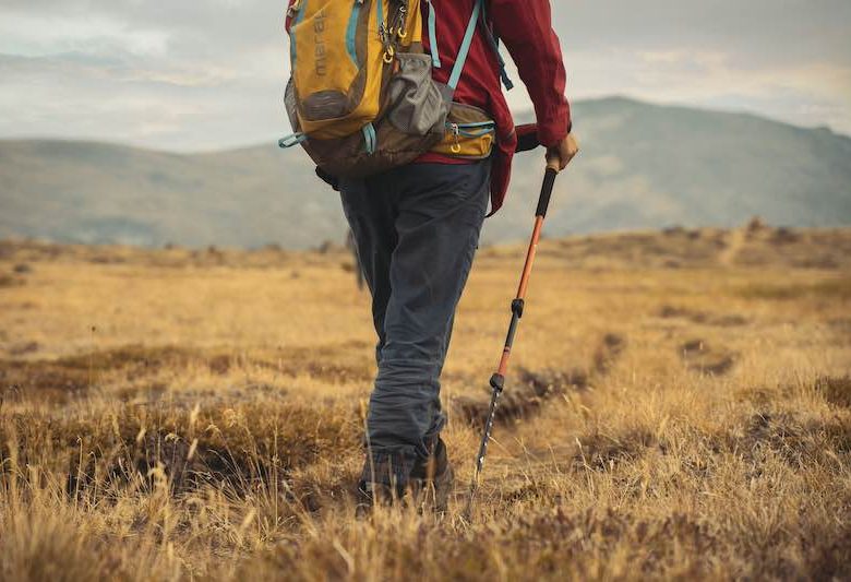 nordic walking jak zacząć