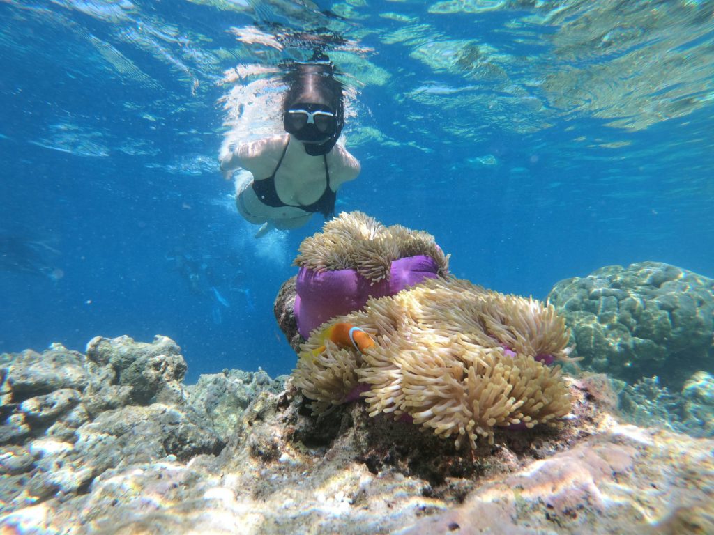 Snorkeling dla początkujących